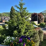 Kleine Auszeit Am Wildgehege Bad Harzburg