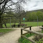 Kleine Auszeit Am Wildgehege *