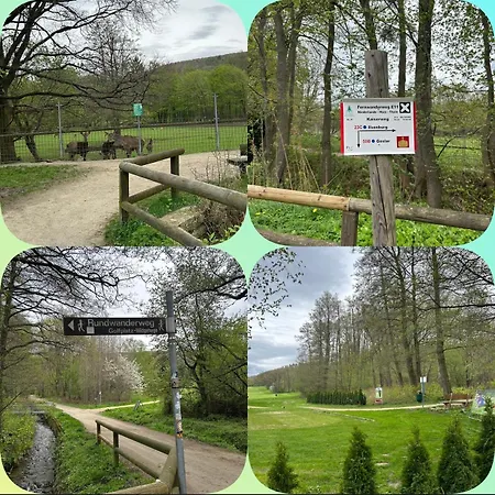 Apartmán Kleine Auszeit Am Wildgehege Bad Harzburg
