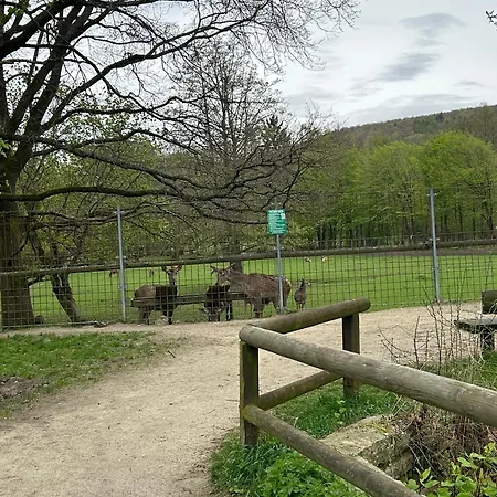 Kleine Auszeit Am Wildgehege *