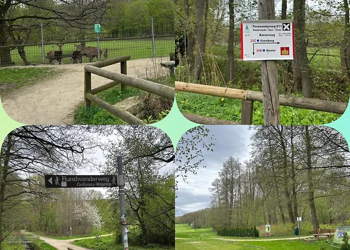 Appartamento Kleine Auszeit Am Wildgehege Bad Harzburg