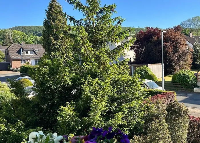 Kleine Auszeit Am Wildgehege Bad Harzburg