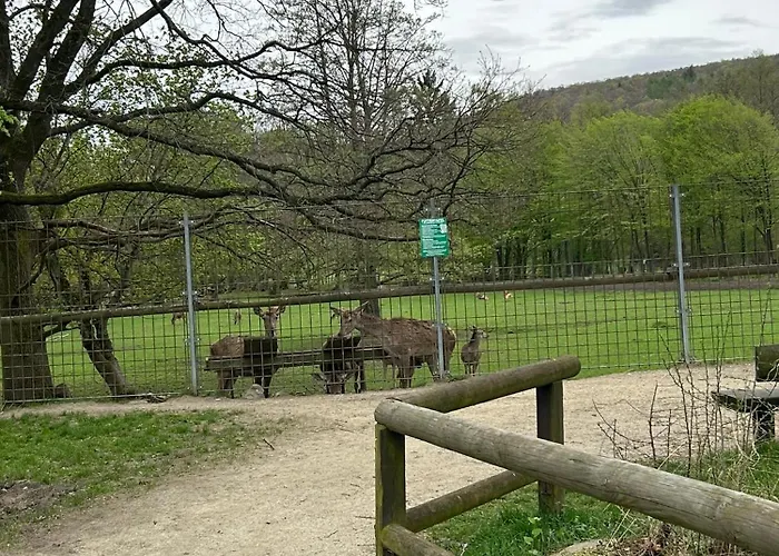 Kleine Auszeit Am Wildgehege *